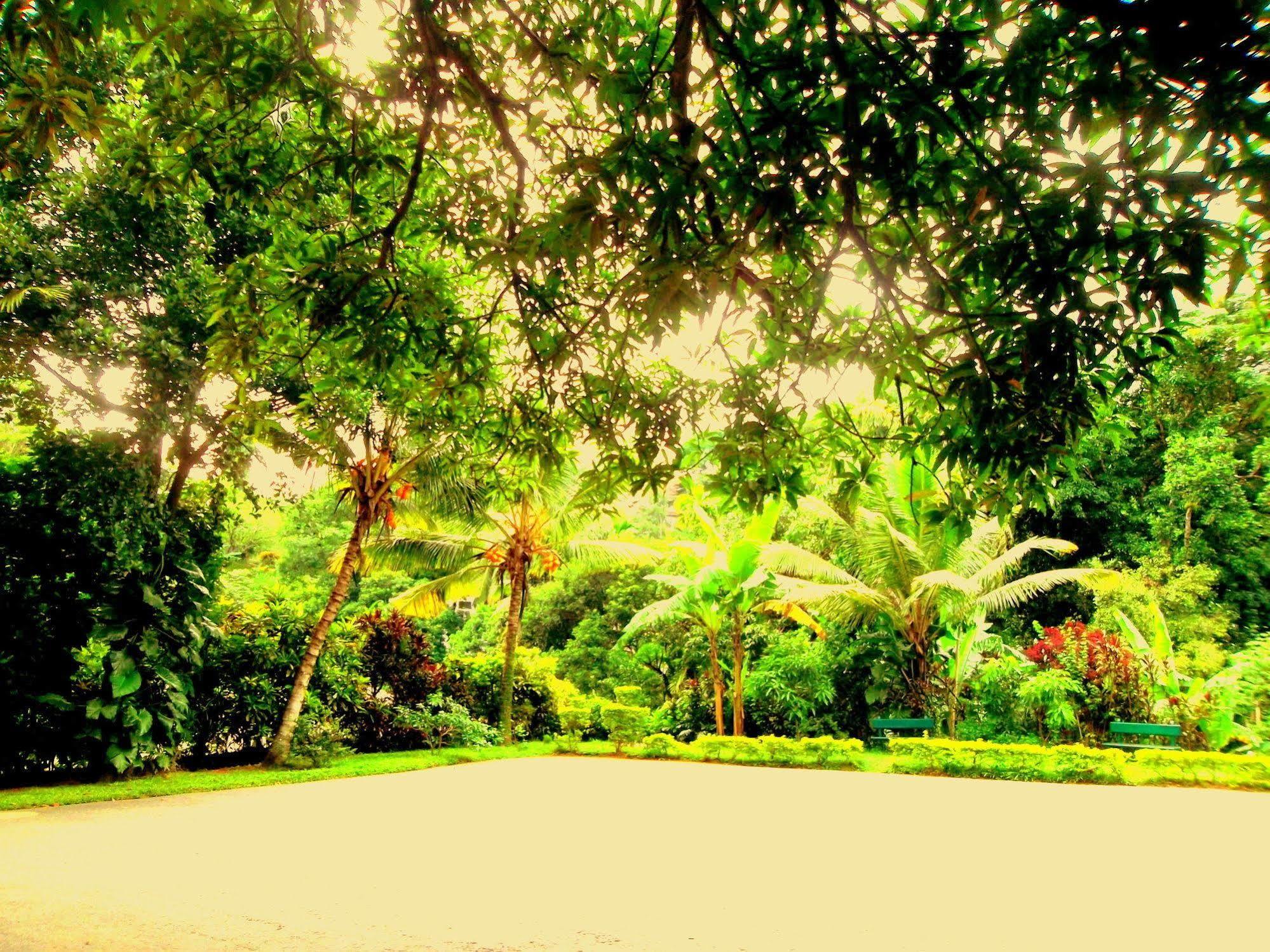 Oyo 433 Paradise Resort Kandy Eksteriør bilde